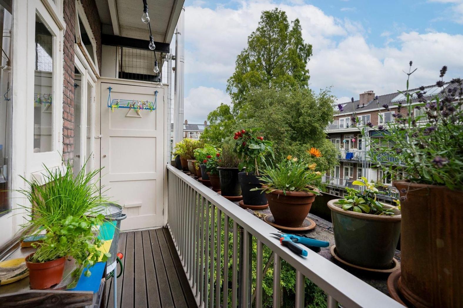 Apartment Sandra Amsterdam Exterior foto